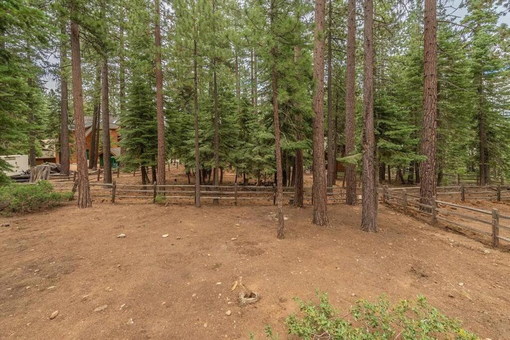 Cozy Pet-Friendly Cabin W Fenced-In Yard Close To Slopes Beach Town Carnelian Bay Dış mekan fotoğraf